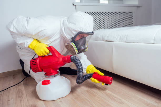 Best Commercial Pest Control  in Gray, LA